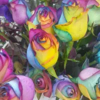 نیازمند کارگر ساده اقا