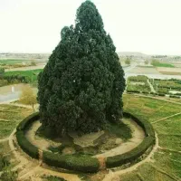 استخدام تیم نظارتی در ابرکوه