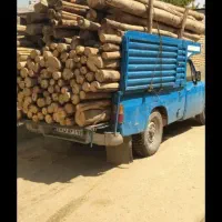 خرید چوب. چنار  تیر چوب. ساختمانی  وضایعات پوسیده