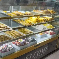 به یک اوستاکار آقا فقط اقا خشک کار و یک وردست