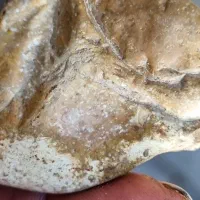 سنگ|کلکسیون اشیاء عتیقه|زیباشهر, |دیوار