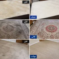 مبلشویی صبحان واش با سابقه ۸سال در تهران وحومه