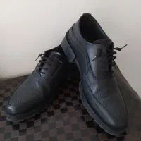 کفش|کیف، کفش، کمربند|بروجرد, |دیوار