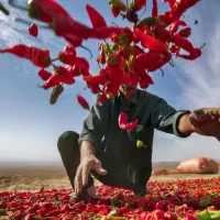 نگهداری از سالمند اگهی روبدقت بخوانید