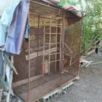 قفس آهنی|لوازم جانبی حیوانات|املش, |دیوار