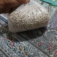 نخود محلی درجه یک