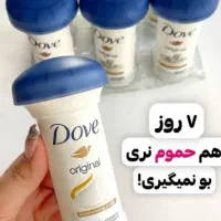 مام قارچی داو اصل
