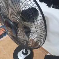 پنکه|پنکه و تصفیه‌کنندهٔ هوا|رشت, حمیدیان|دیوار