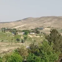 مجموعه زمین های قطعه بندی شده روستای تلو|فروش زمین و ملک کلنگی|تلو, |دیوار