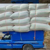 خریدو فروش کاه