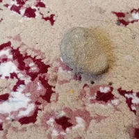 سنگ باجذب|کلکسیون و سرگرمی|خسروشاه, |دیوار