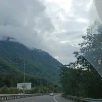 راهنمایی جهت عمل بینی