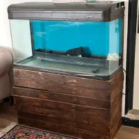 اکواریوم