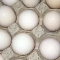 تخم مرغ رسمی