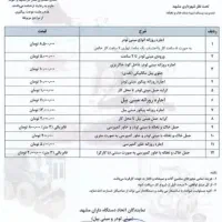 اجاره توماس بابکت خاکبرداری مینی لودر بیل بکهو