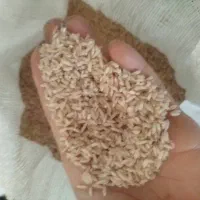 برنج دم سیاه کلات