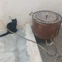 تنورگازی|اجاق گاز و لوازم برقی پخت‌وپز|صفادشت, |دیوار