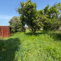 زمین، نوشهر ،سند تک برگ ،شهرکی،۱۰۰۰متر