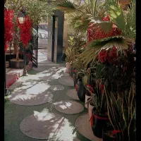 استخدام نیروی ساده اقا|استخدام خدمات فروشگاه و رستوران|تهران, اختیاریه|دیوار