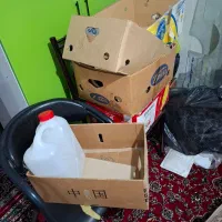 کارتن موزی|حراج|قم, سعادتی|دیوار