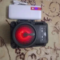 یک عدد اسپیکر گریت نایس با یک عدد پاوربانک 10000