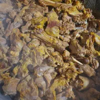 آشپزی مجالس|خدمات پذیرایی، مراسم|خرمآباد, |دیوار