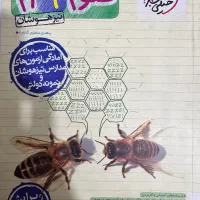 کتابکاری تیزهوشان علوم فارسی ریاضی