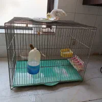 قفس پرنده