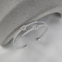 اکسسوری و بدلیجات