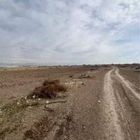کردان سهیلیه زمین کشاورزی۱۰۰۰تا۴۵۰۰۰مترسندتک برگ|فروش زمین و ملک کلنگی|هشتگرد, هشتگرد قدیم|دیوار