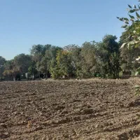 زمین کشاورزی|فروش دفتر صنعتی، کشاورزی، تجاری|ری, شهرک نظامی|دیوار