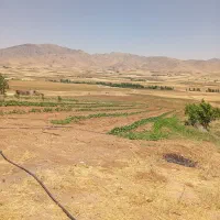 زمین کشاورزی