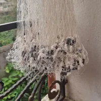 ماشک ماهیگیری