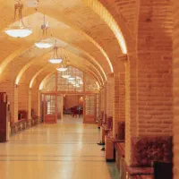 گروه موسیقی جوان و شاداب