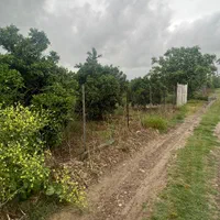 ۴۰۰۰ متر باغ سند دار دور محصور / ۲۰۰ متری آسفالت|فروش زمین و ملک کلنگی|بهنمیر, |دیوار