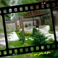 شرکت شکوفه دانش سبز مجری خدمات باغبانی وآبیاری|خدمات باغبانی و درختکاری|اهواز, امانیه|دیوار