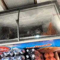 فریزربستنی