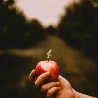 مالی فوری