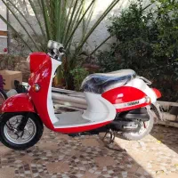 فروش پاکشتی وینو خوش رخ و زیبا