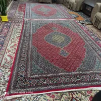 فرش ماهی|فرش|ارومیه, |دیوار