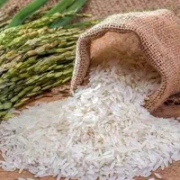 برنج چمپا محلی کوهمره