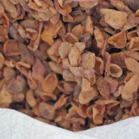 برگه زرد آلو تازه خشک شده کاملا خوشمزه وترش|خوردنی و آشامیدنی|اراک, |دیوار