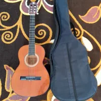 گیتار دیاموند C40