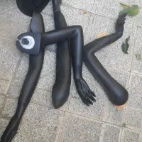 دو عدد مانکن زنانه تمیز پایه شیشه ای|فروشگاه و مغازه|یاسوج, |دیوار