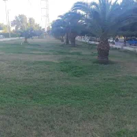 زمین-کشاورزی-ونخلستان-کنار-شط-خ-ری-د-ف-و-ری