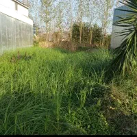 یک قطعه زمین|فروش زمین و ملک کلنگی|رشت, سیا اسطلخ|دیوار