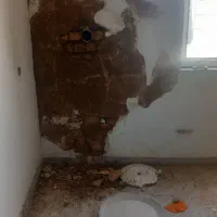 اکیب نقاش و نقاشی ساختمان تک|خدمات پیشه و مهارت|سنندج, |دیوار