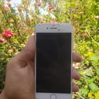 هفتپه سیماش|موبایل|شوش, |دیوار