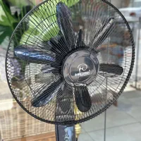 پنکه زمینی به قیمت عمده