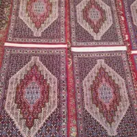 قالی دست بافت کوردی|فرش|سنندج, |دیوار